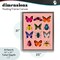 Stupell Industries Colorful Bug Species on Pink Floating Frame, design by LISH Creative